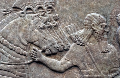 The people of Mesopotamia kept their teeth clean even under the constant threat of getting their city sacked by a bloody-minded conquering king, so you have no excuse for not flossing every day.